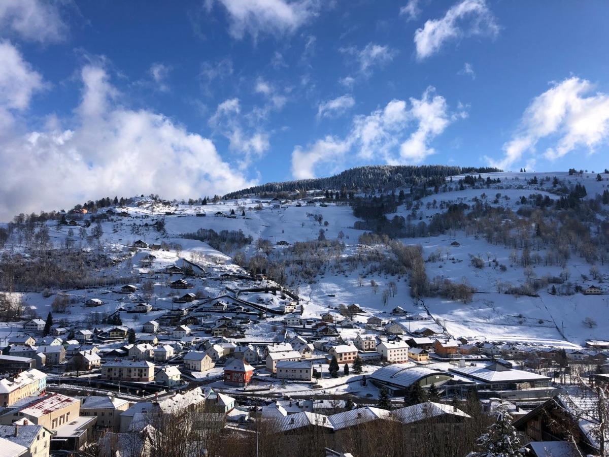 Magnifique Appartement Classe 4 Etoiles Avec Sauna Et Terrasse Dans Chalet 라브레세 외부 사진